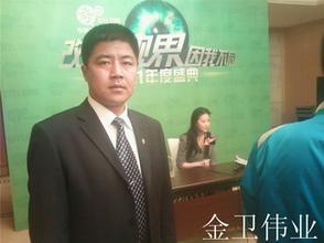 案例展示（刘亦菲）